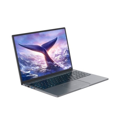 Blackview GamiBook-8 Ryzen 7 7735HS 16" WUXGA AntiGlare 32GB 1TB BT BLKB FPR W11Pro Grey