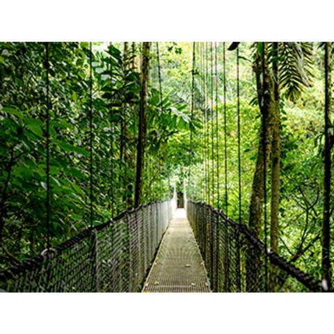 HP EliteBook 6 G1i Ultra 5 225U 14.0"WUXGA IPS 400nits Eye Ease AG 24GB DDR5 5600 SSD512 Arc Cam 5Mpx 56Wh W11Pro Pike silver al