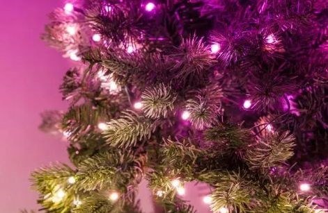 Twinkly Pre-lit Tree -1.50m Choinka, 270 RGB LED, zielony przewód, typ wtyczki C