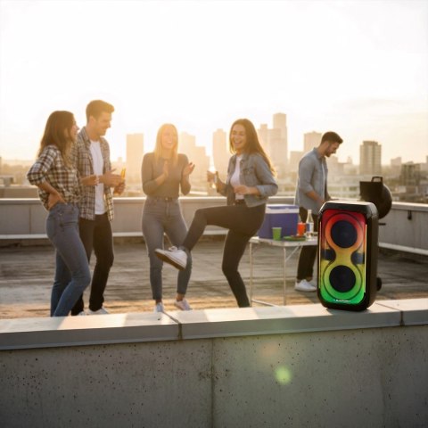 System audio BLAUPUNKT PB60X