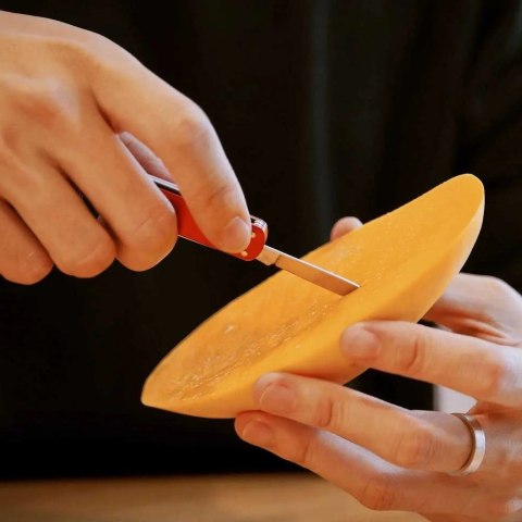 Nóż wielofunkcyjny NexTool Mini Pocket Knife NE0142 4w1 czerwony