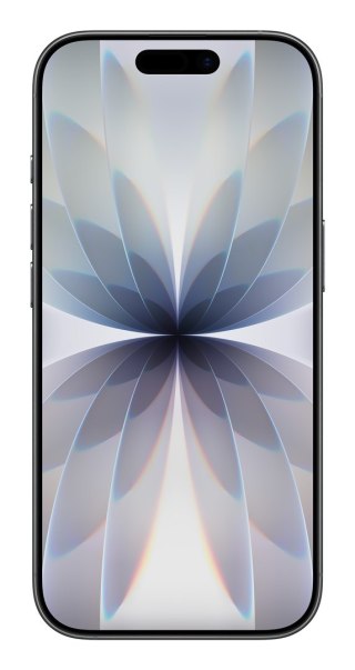 Apple iPhone 17 256GB Black