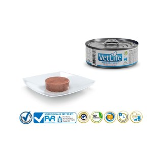 FARMINA Vet Life Hypoallergenic Pork & Potato - mokra karma dla kota - 85 g