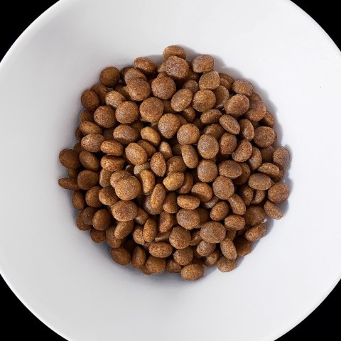 VET HYPPOALERGENIC karma dla psa 1,6 kg