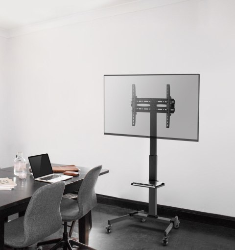 GEMBIRD STOJAK POD TELEWIZOR Z REGULACJĄ WYSOKOŚCI, MOBILNY, NA KÓŁKACH 32" - 55"