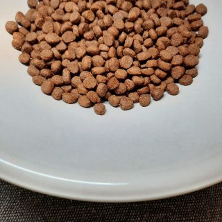 PUPIL Prime Mini bogata w wołowinę wątróbką 1,4 kg