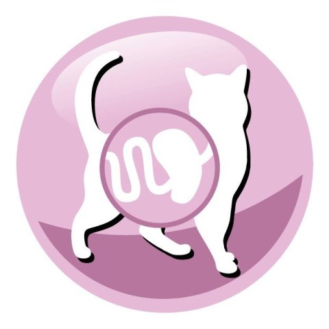 PREVITAL łosoś senior karma sucha dla kotów 1,4kg