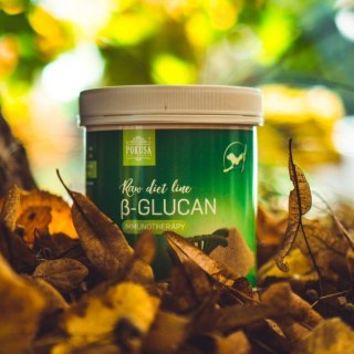 Pokusa Raw Diet Line B-Glucan 250g