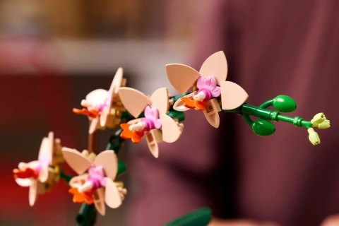LEGO The Botanical Collection 10343 - Mała orchidea