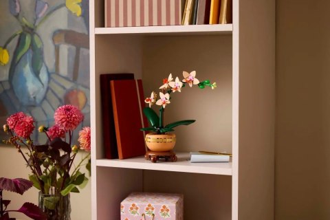 LEGO The Botanical Collection 10343 - Mała orchidea