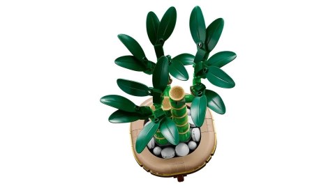 LEGO The Botanical Collection 10344 - Dracena sandera