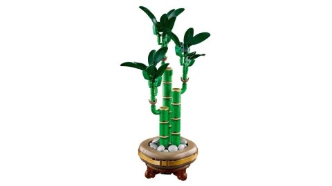 LEGO The Botanical Collection 10344 - Dracena sandera