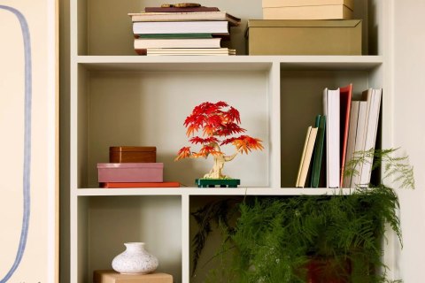 LEGO The Botanical Collection 10348 - Klon palmowy Bonsai