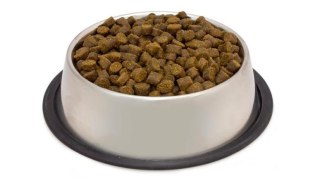 Arquivet Fresh Senior 10kg