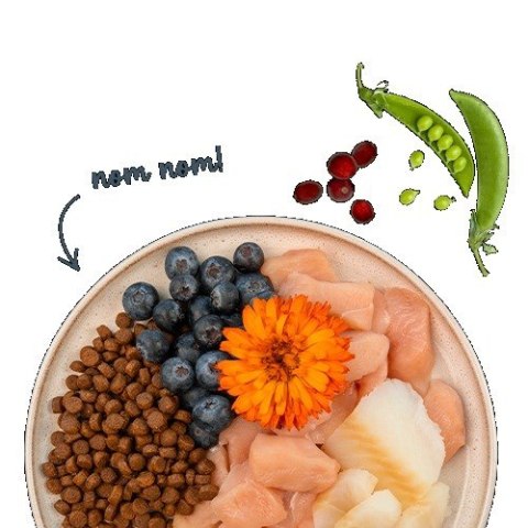 BOSCH Sanabelle Adult Pstrąg 2kg