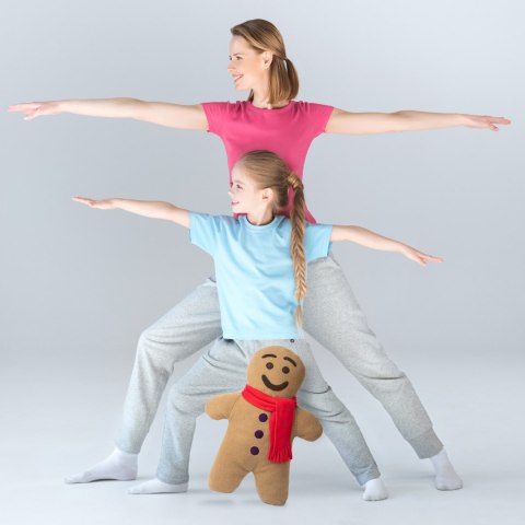 Grzejący Pierniczek termofor serce pestki wiśni Froster