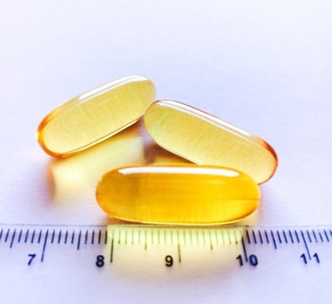 Game Dog OMEGA-3 kapsułki Suplement dla psa 60 kapsułek