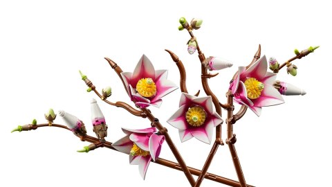 LEGO Botanical Collection 11510 - Gałązki magnolii