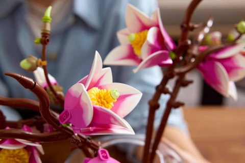 LEGO Botanical Collection 11510 - Gałązki magnolii