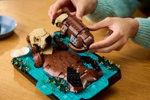 LEGO Ideas 21366 - Pływające wydry