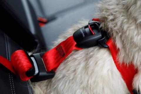 ZOLUX Szelki dla psa TRAVEL SAFE M czarne