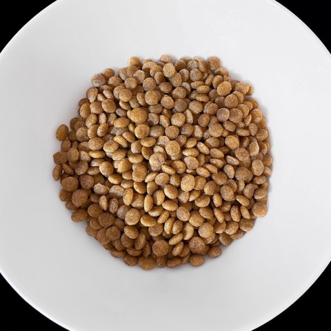 VET RESPONSE HYPPOALERGENIC dla kota 400 g