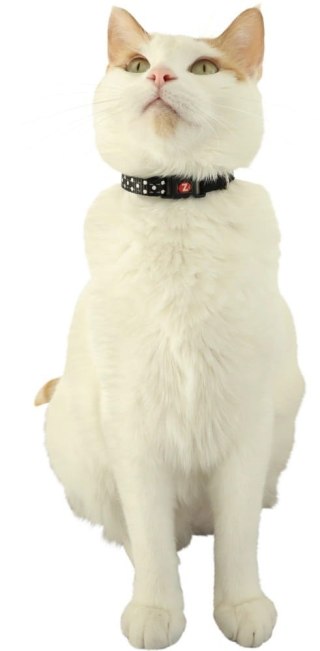 ZOLUX Obroża dla kota z zawieszką w kształcie myszy CHATOUILLE czarna