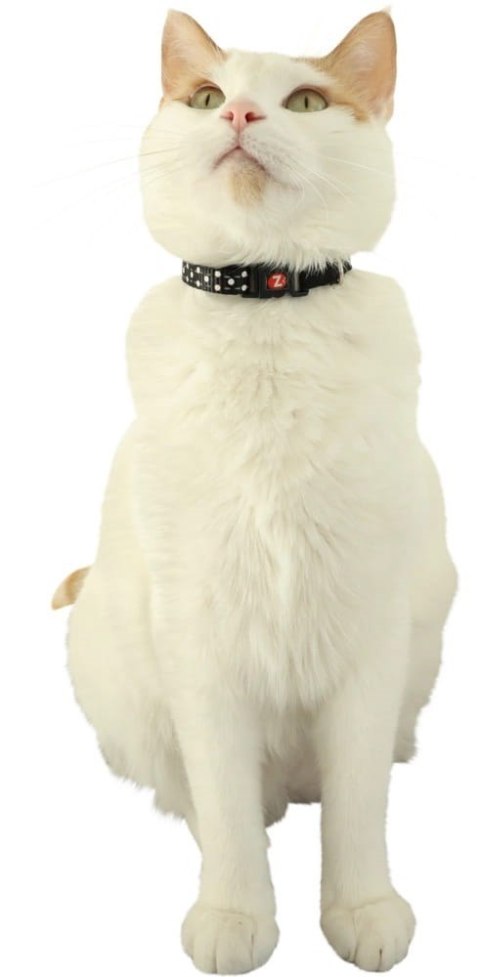 ZOLUX Obroża dla kota z zawieszką w kształcie myszy CHATOUILLE czarna