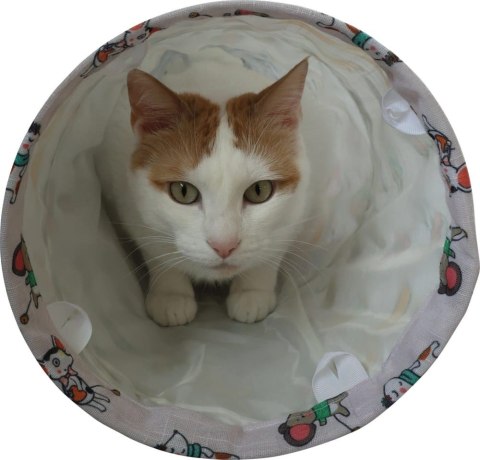 ZOLUX Zabawka dla kota tunel wzór koty i myszy CHATOUILLE 100cm