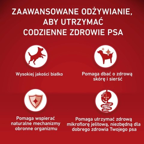 PURINA ONE MED/MAX Adult Beef & Rice 12kg