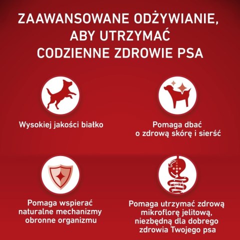 PURINA ONE MED/MAX Adult Dog Lamb & Rice 2,5kg