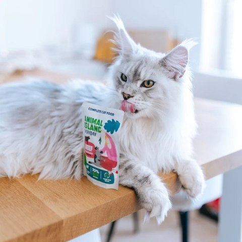 ANIMAL ISLAND wołowina w rosole karma dla kota monopak 40x85g