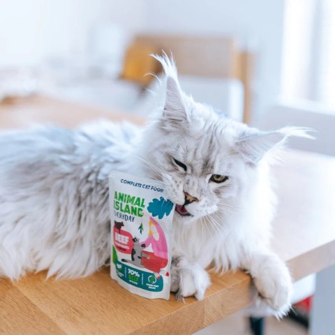 ANIMAL ISLAND wołowina/kurczak w rosole dla kota 80x85g