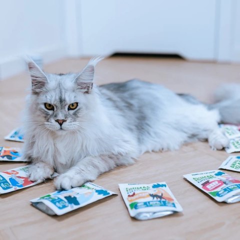 ANIMAL ISLAND wołowina/kurczak/indyk/ryba mix smaków 80x85g