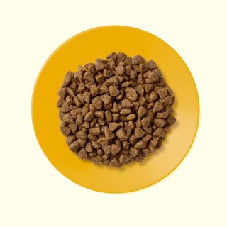 APPLAWS CAT Kitten Kurczak - karma dla kociąt z wysoką zawartością mięsa - 2kg