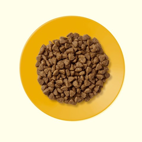 APPLAWS CAT Kitten Kurczak - karma dla kociąt z wysoką zawartością mięsa - 2kg