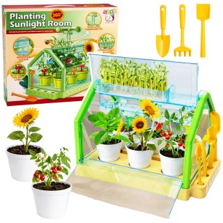 Mini Ogródek Szklarnia Doświadczenie Edukacyjne System Podlewania