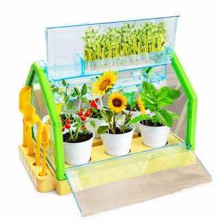 Mini Ogródek Szklarnia Doświadczenie Edukacyjne System Podlewania