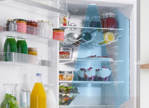 Chłodziarko-zamrażarka BOSCH KGN49LBCF