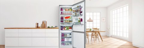 Chłodziarko-zamrażarka BOSCH KGN49LBCF