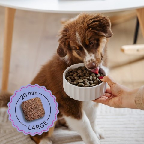 ADDVENA BOOSTED BY SUPERFOODS dla szczeniąt średnich i dużych ras 10kg