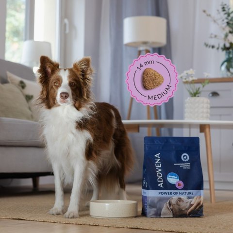 ADDVENA POWER OF NATURE Sensitive dla psów wrażliwych średnich i dużych ras 2,5kg