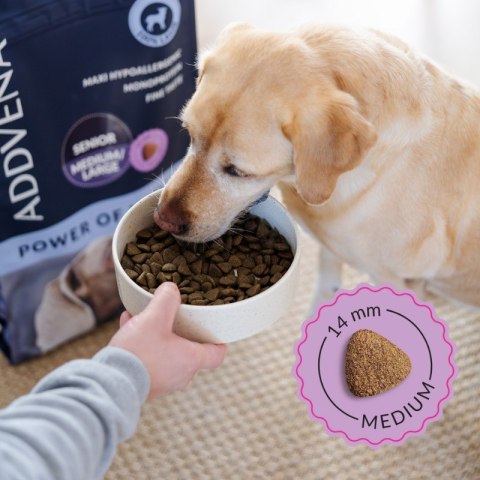 ADDVENA POWER OF NATURE dla starszych psów średnich i dużych ras 10kg