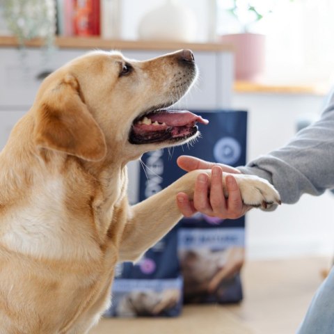 ADDVENA POWER OF NATURE dla starszych psów średnich i dużych ras 2,5kg