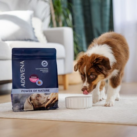 ADDVENA POWER OF NATURE dla szczeniąt średnich i dużych ras 10kg