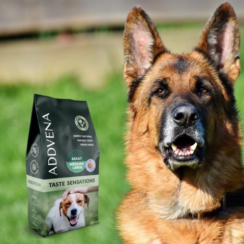 ADDVENA TASTE SENSATIONS dla dorosłych psów średnich i dużych ras 2,5kg