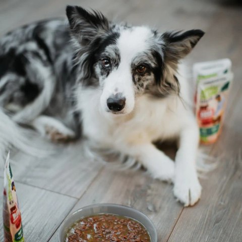 ANIMAL ISLAND indyk/wołowina saszetki dla psa 8x150g