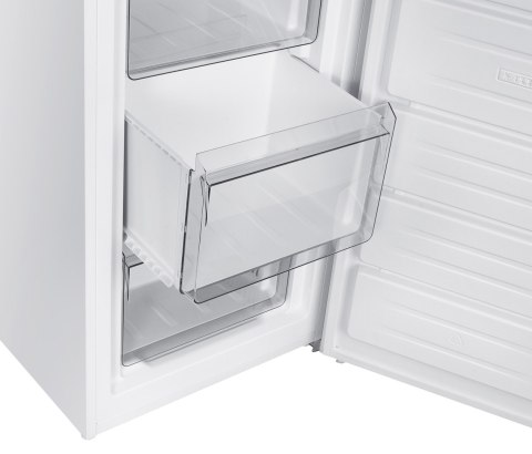 Zamrażarka szufladowa MPM-161-ZF-19/D biała, poj. 161L, 54 cm, No Frost
