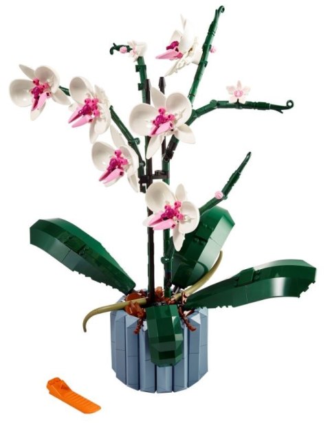 LEGO Icons 10311 - Orchidea