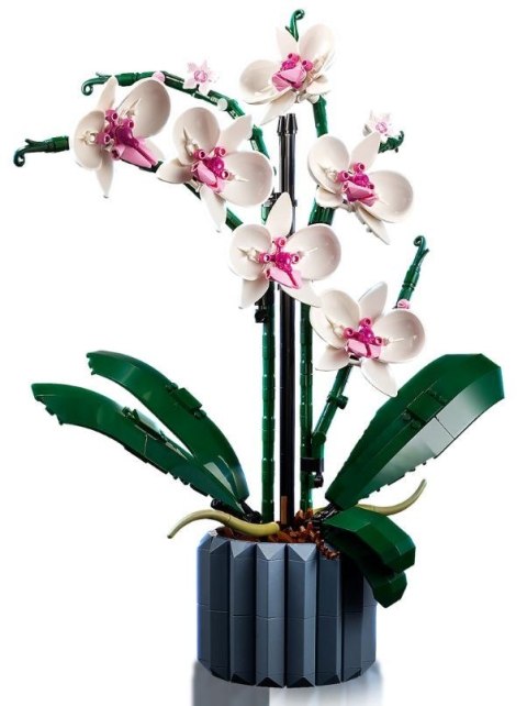 LEGO Icons 10311 - Orchidea